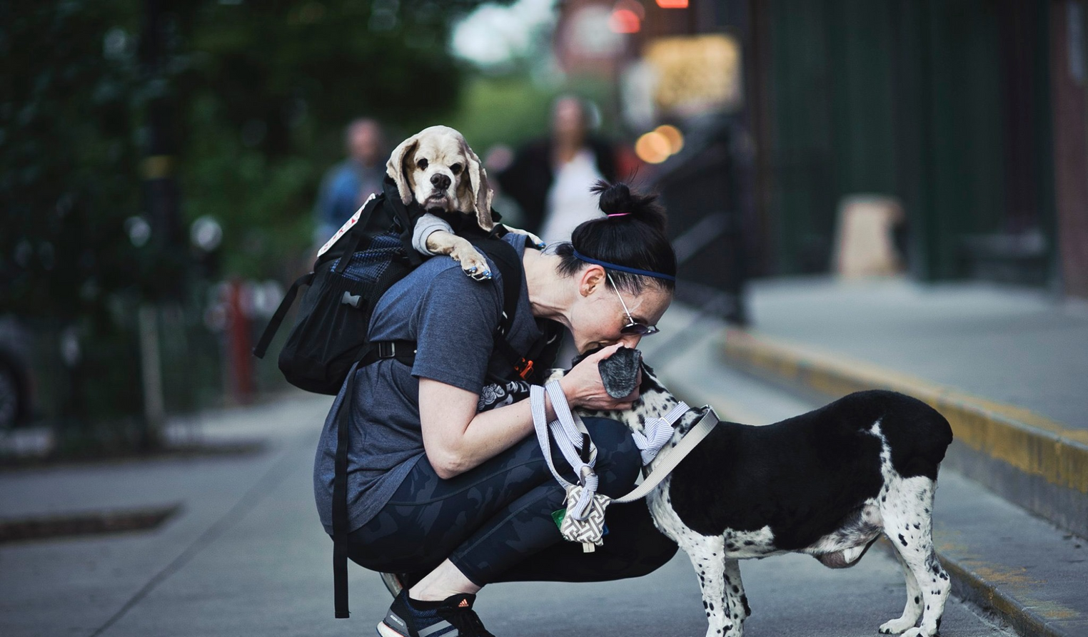 K9 Sport Sack