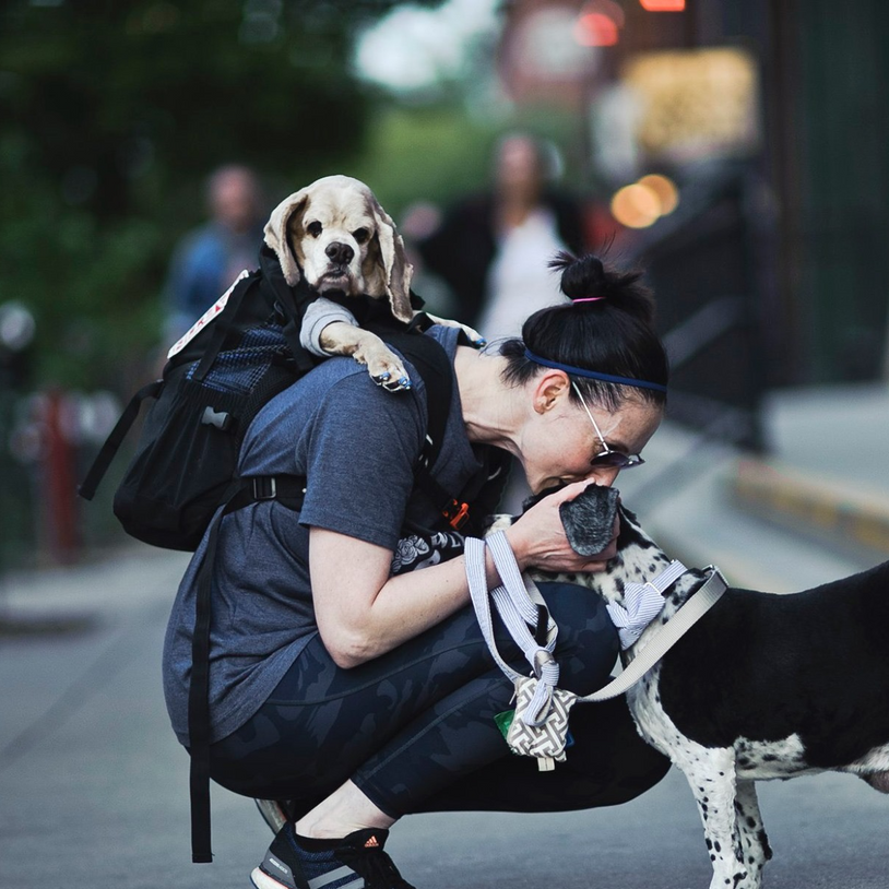 K9 Sport Sack
