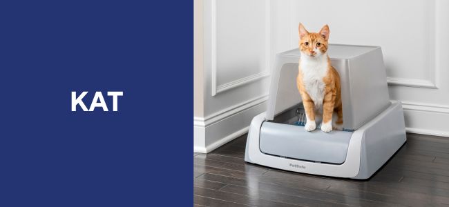 Kat