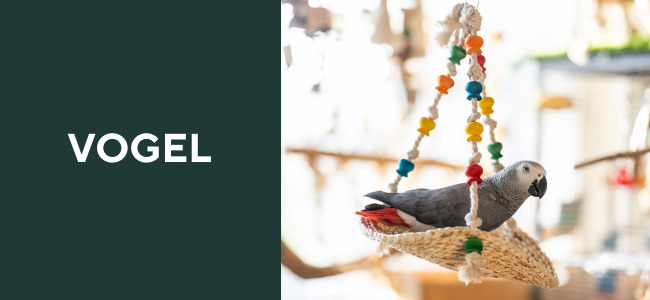 Vogel
