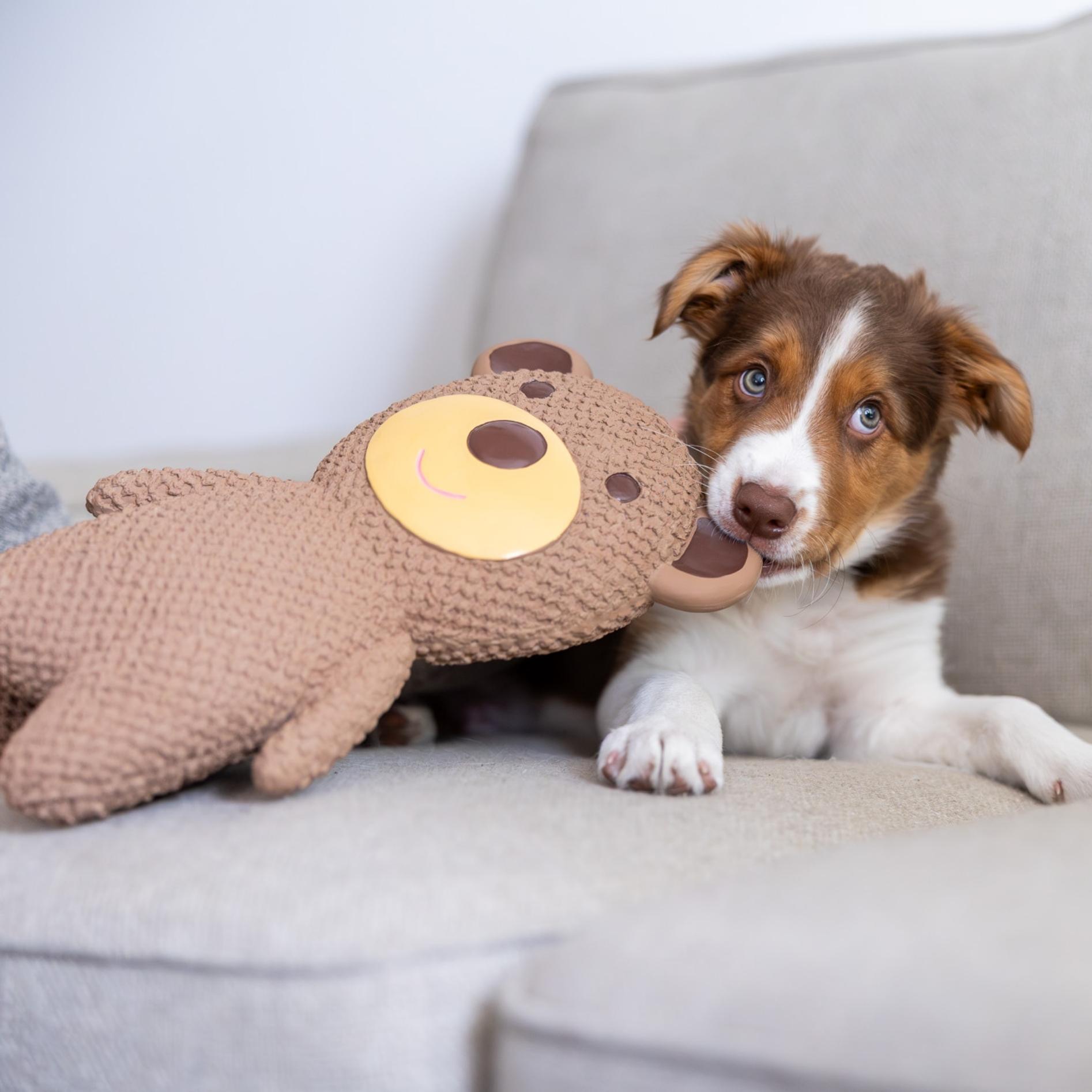 Quapas! Hondenspeelgoed XXL Beer - 33cm