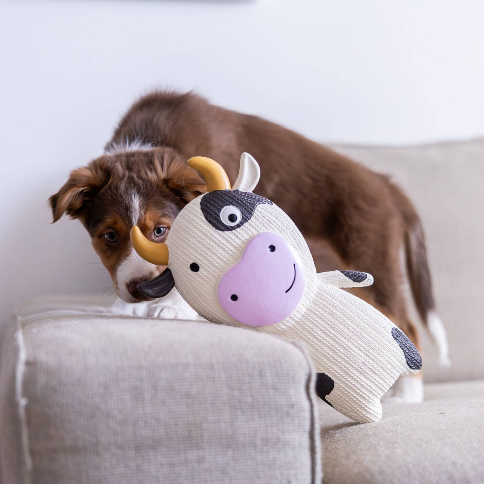 Quapas! Hondenspeelgoed XXL Koe - 33cm