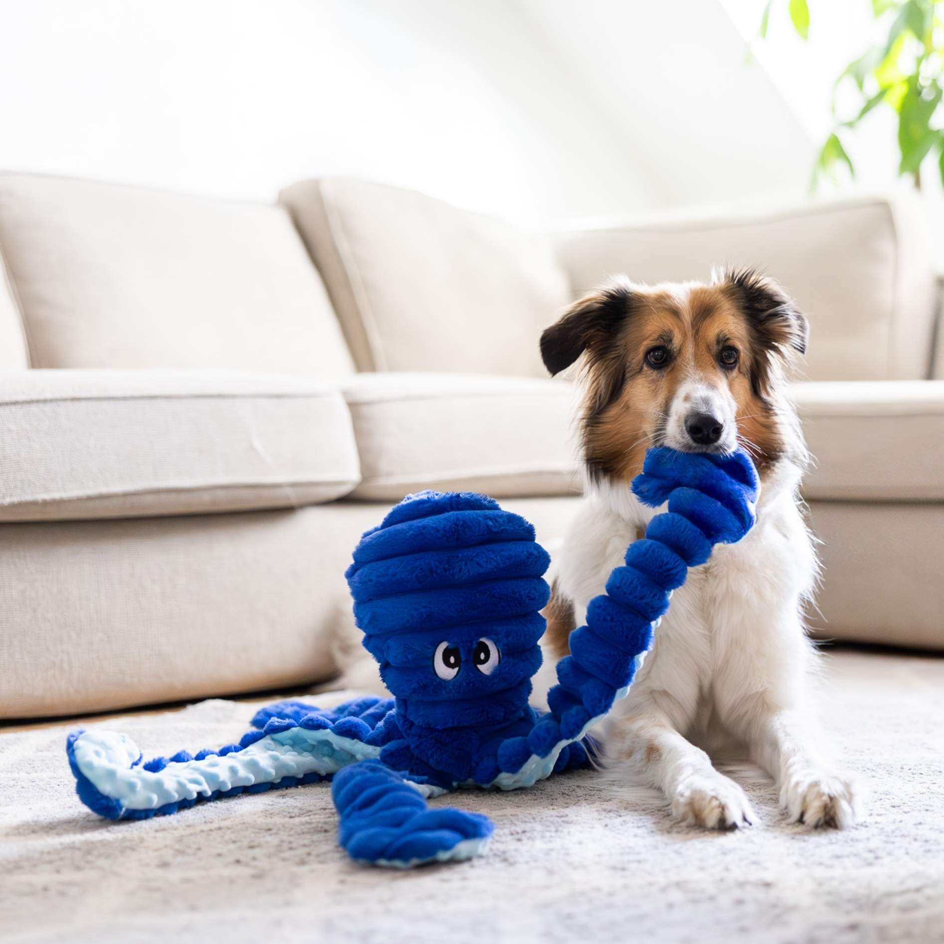 Quapas! Giant Octopus 66cm Navy Blauw