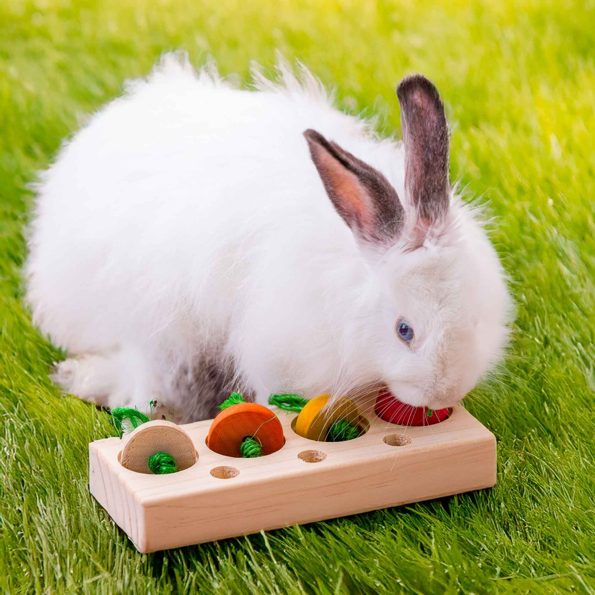 Quapas! Groenten snack puzzel