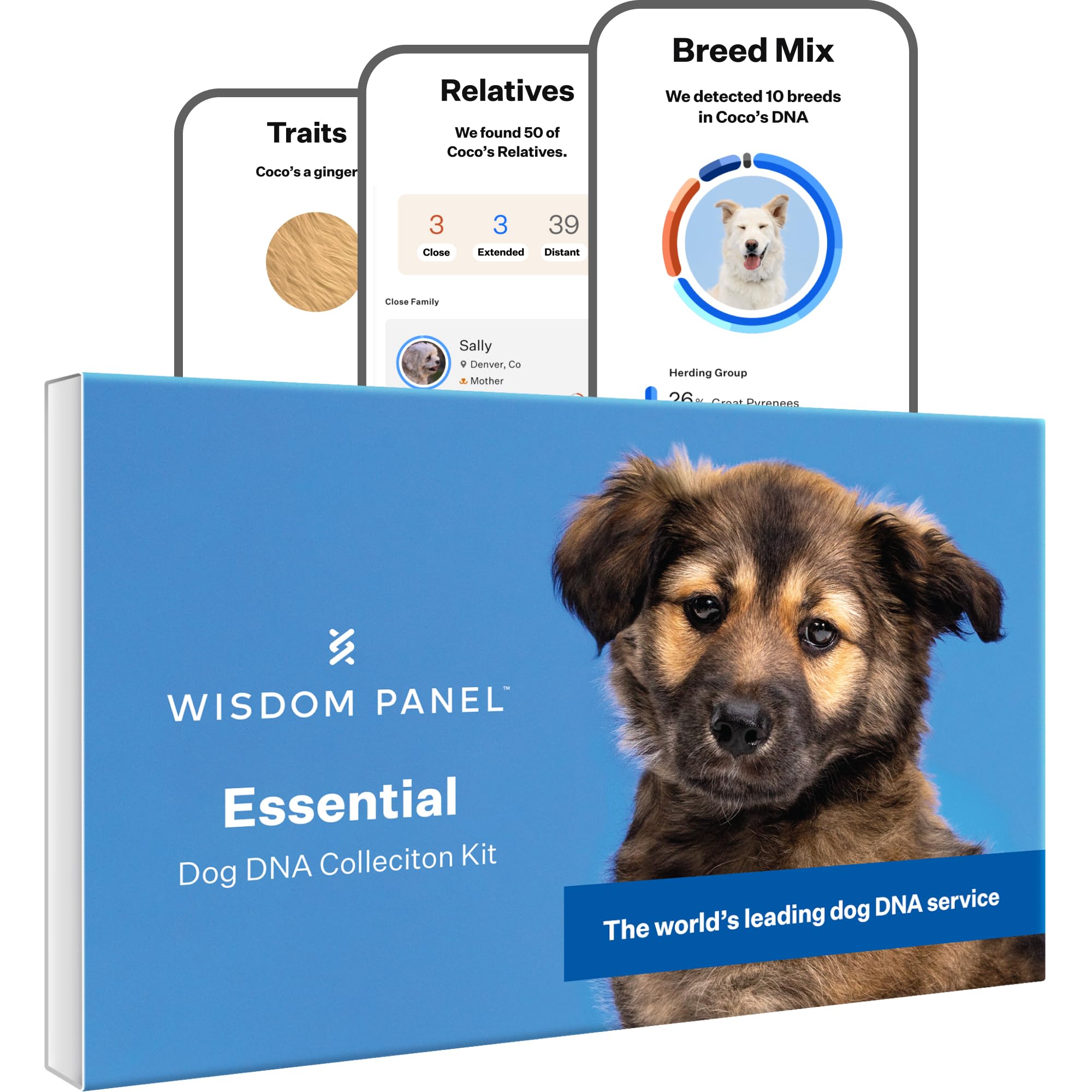 WISDOM PANEL ESSENTIAL DOGS DNA TEST
