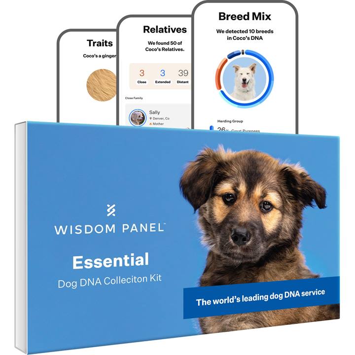 WISDOM PANEL ESSENTIAL DOGS DNA TEST