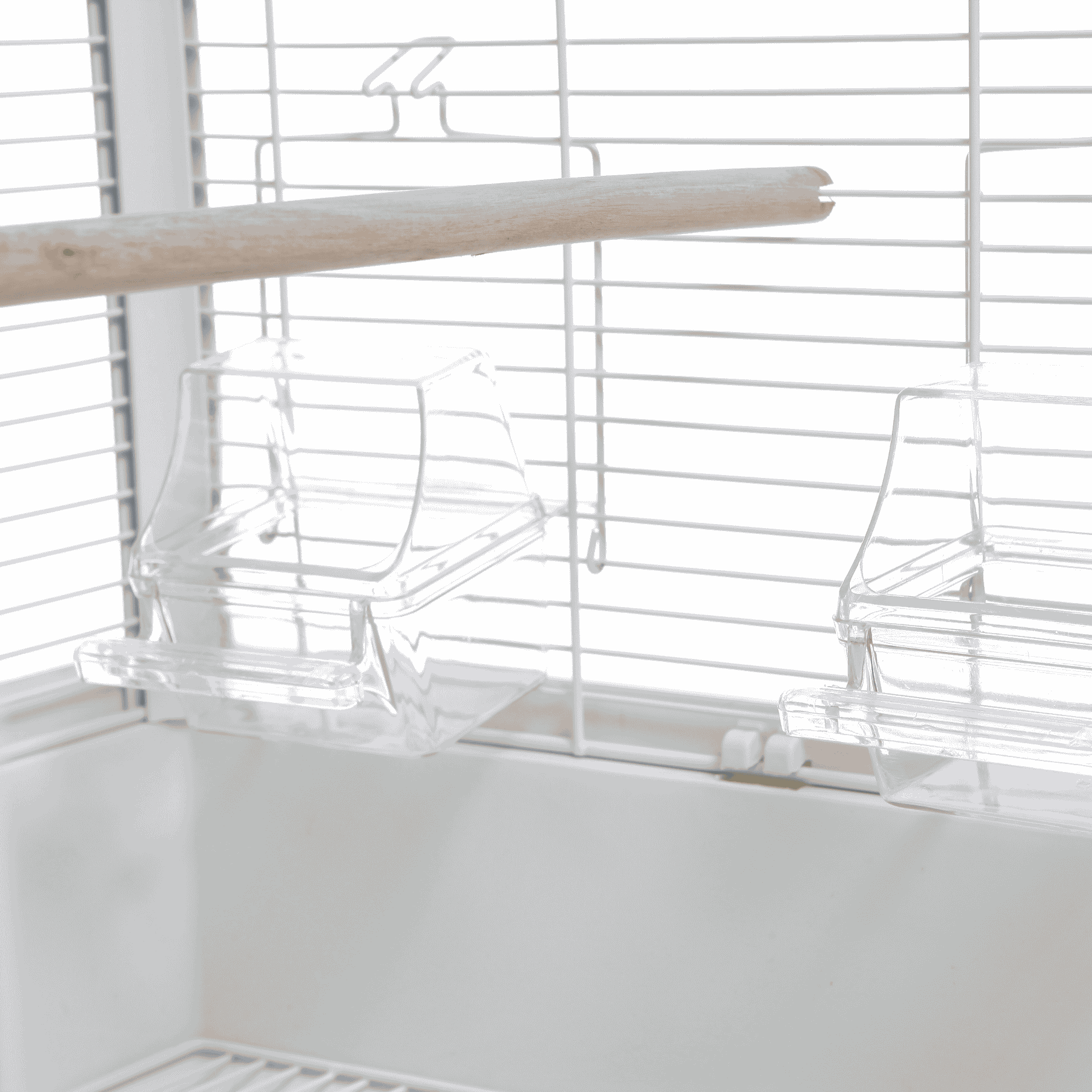 Vogelkooi Ceasar M Wit