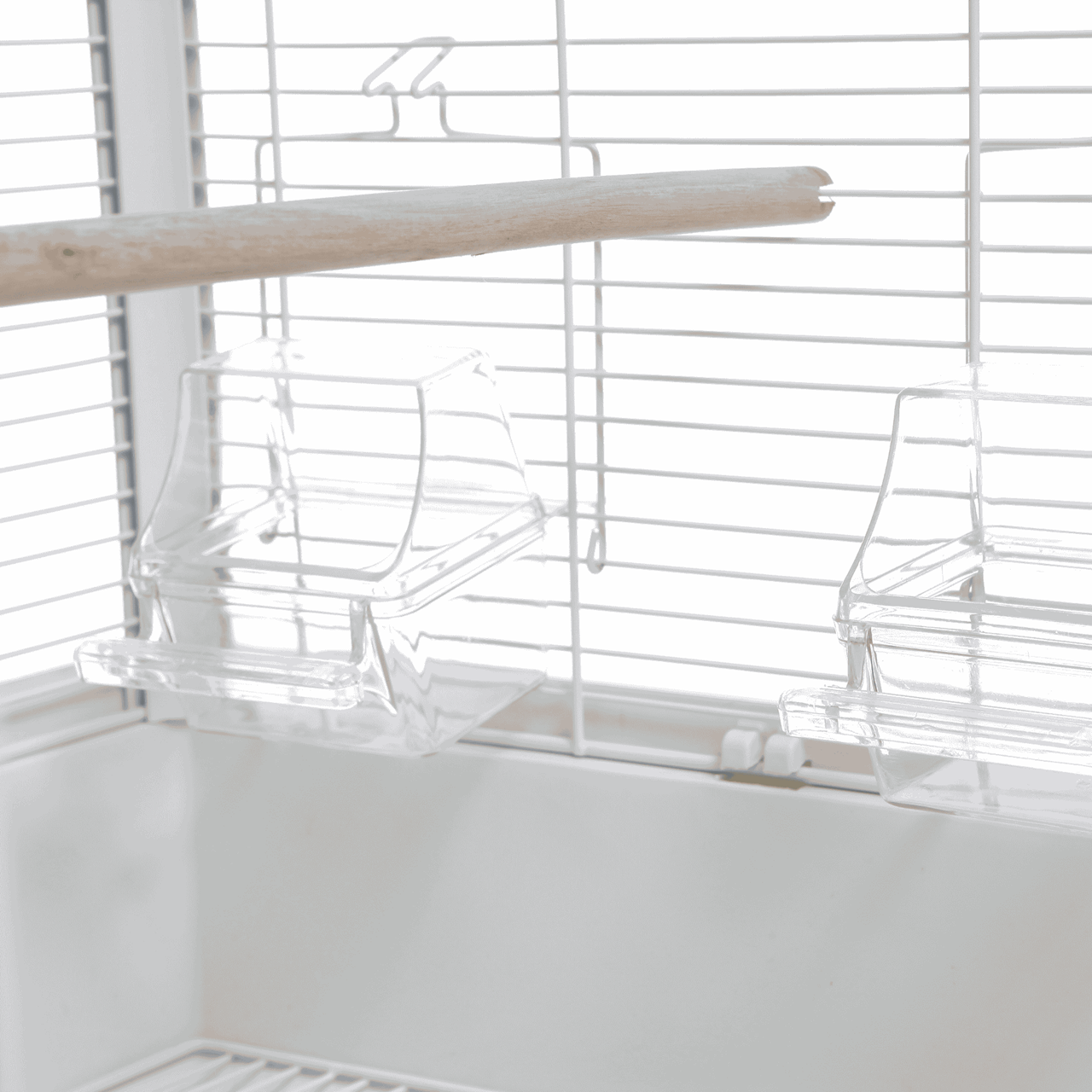 Vogelkooi Ceasar M Wit