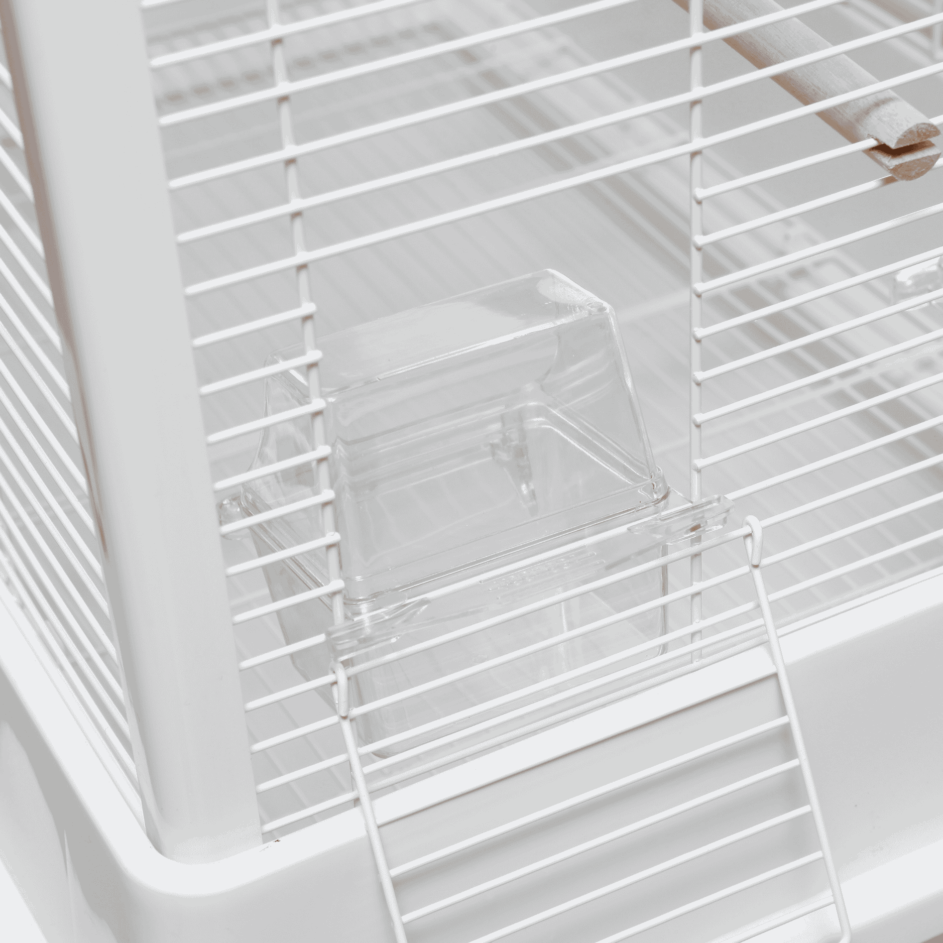 Vogelkooi Ceasar M Wit