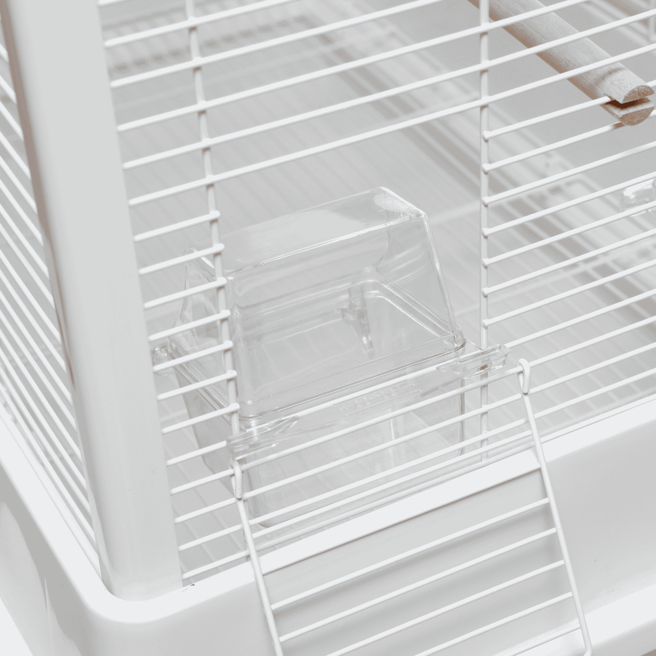 Vogelkooi Ceasar M Wit