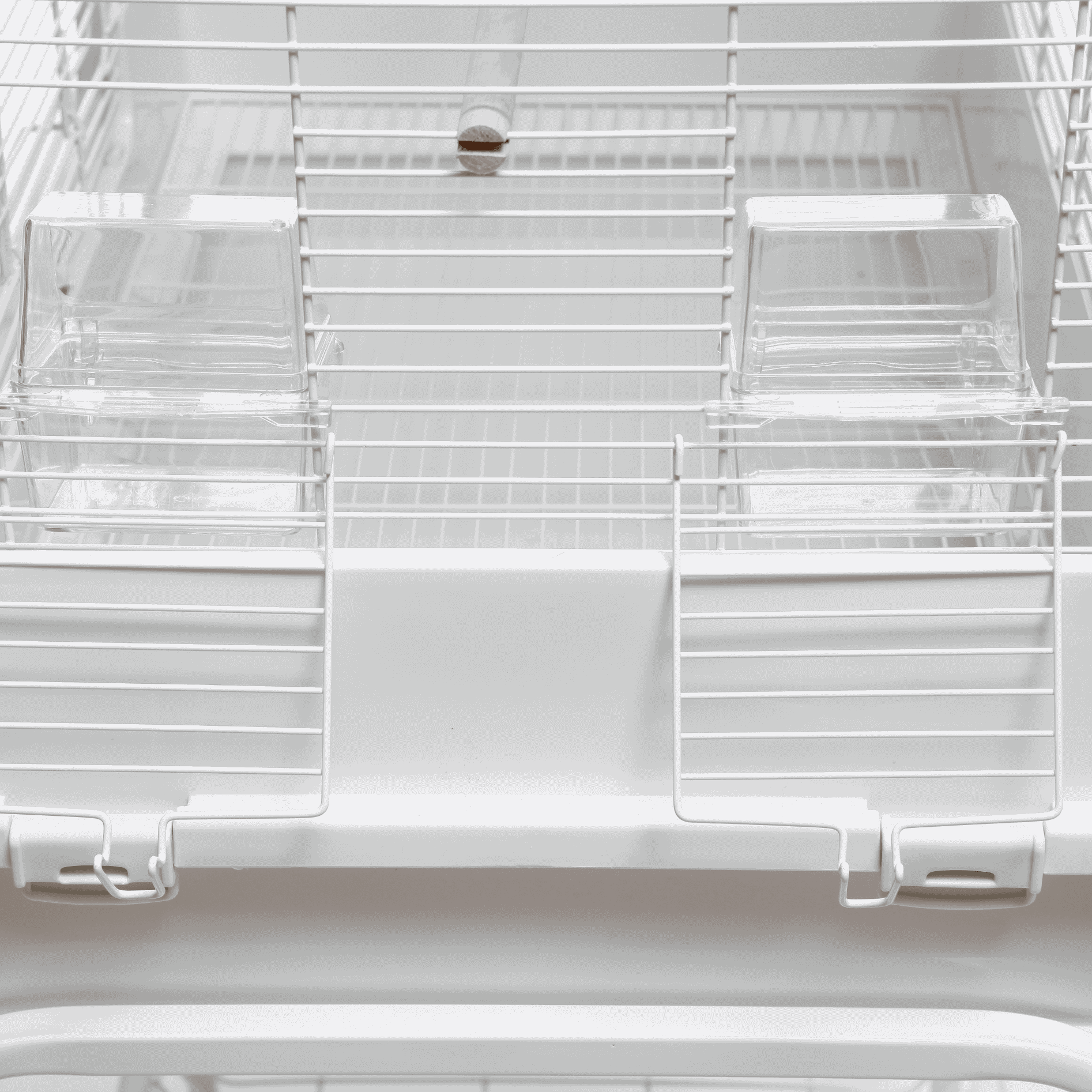 Vogelkooi Ceasar M Wit