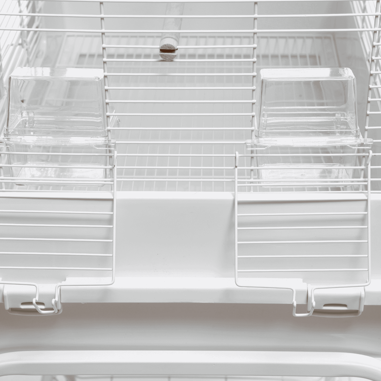 Vogelkooi Ceasar M Wit