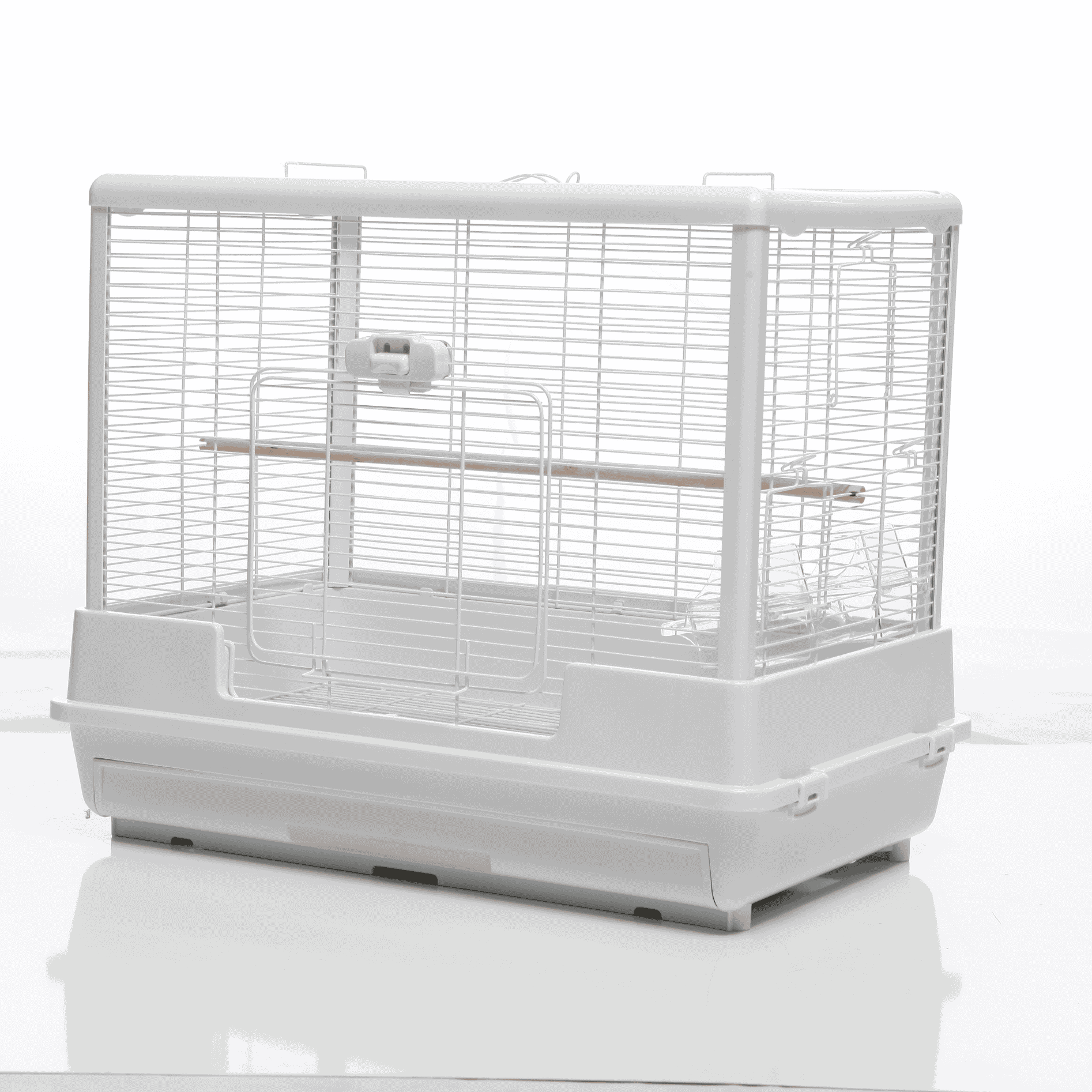 Vogelkooi Ceasar M Wit