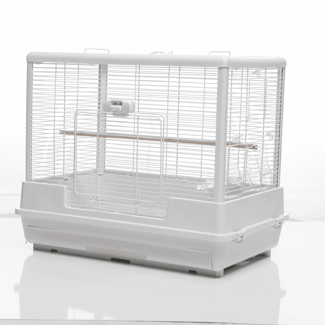 Vogelkooi Ceasar M Wit