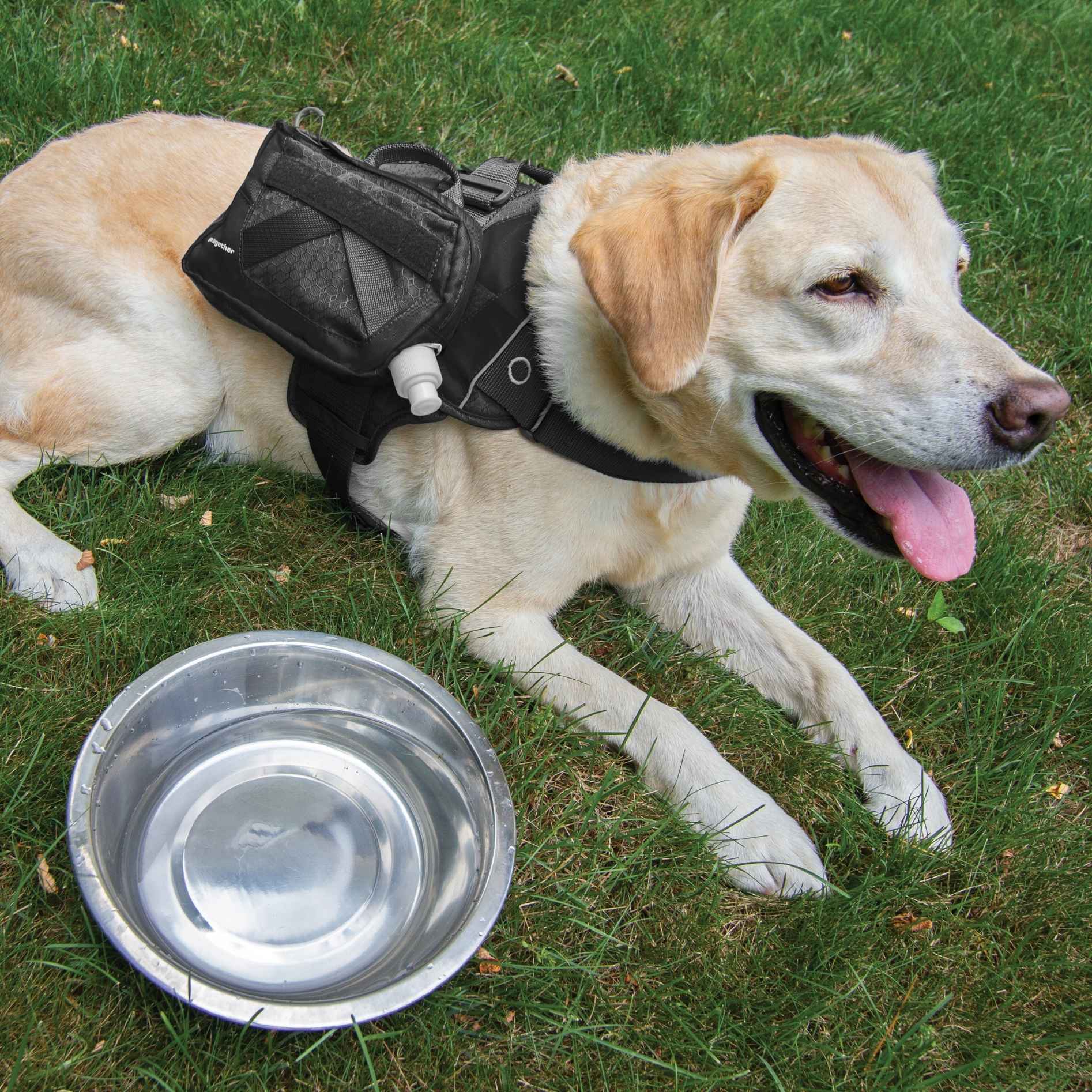 Kurgo RSG Hydration Flask, Black