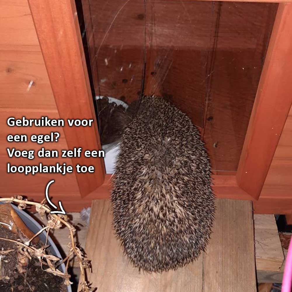 Kattenhuis Buiten Naturel