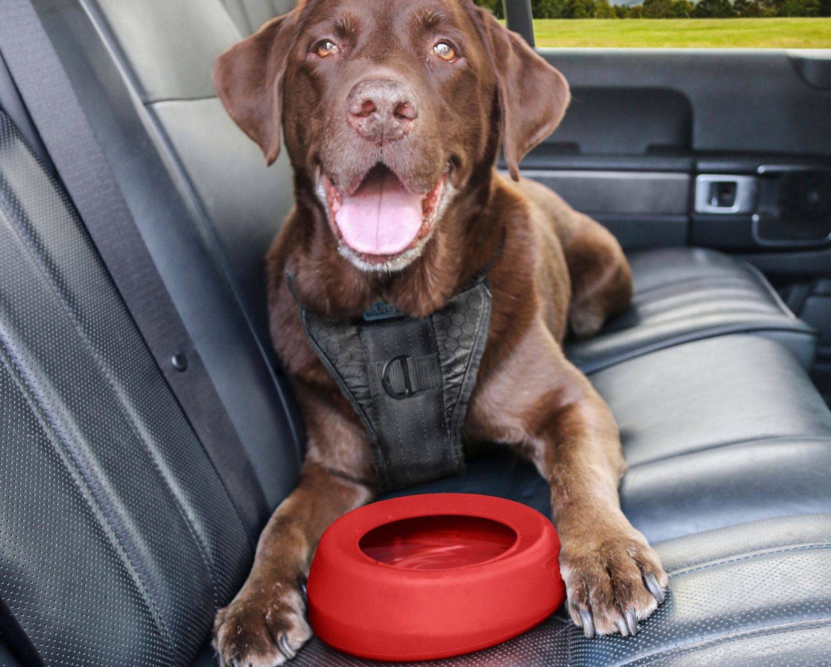 Voer- en drinkbakken