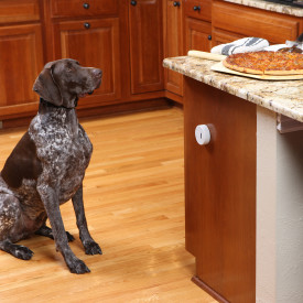 PetSafe® Pawz Away Mini Pet Add-A-Barrier