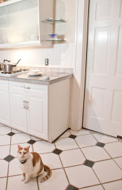 PetSafe® Pawz Away Mini Pet Add-A-Barrier