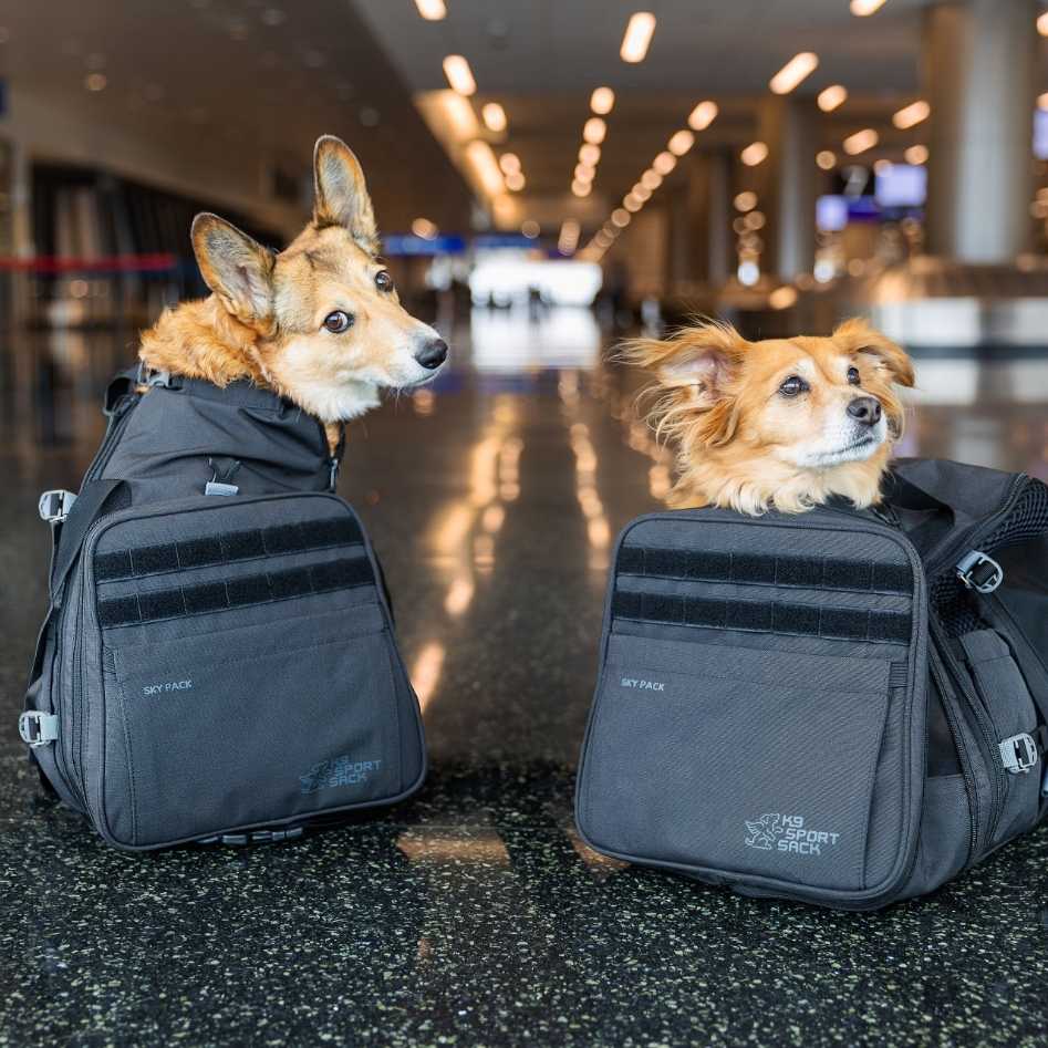 K9 Sport Sack Skypack Zwart