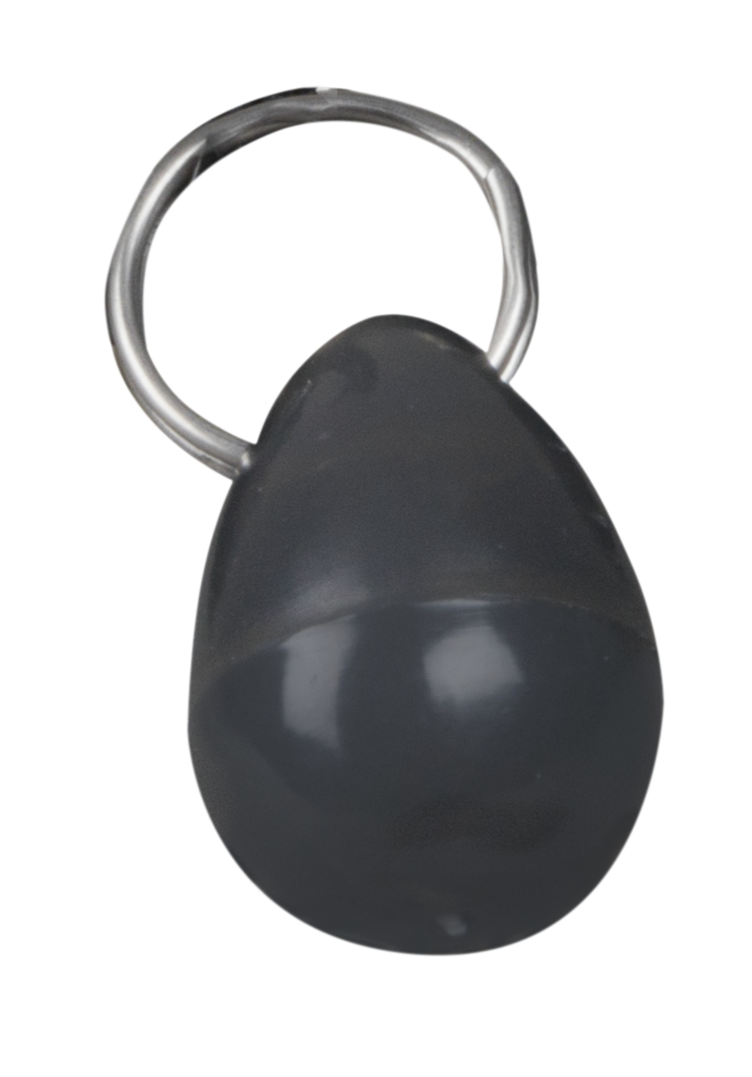 PetSafe® Magnetic Collar Key with Strap