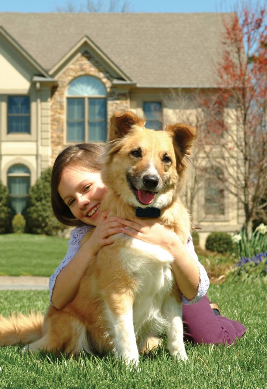 PetSafe® Stubborn Dog Receiver Collar