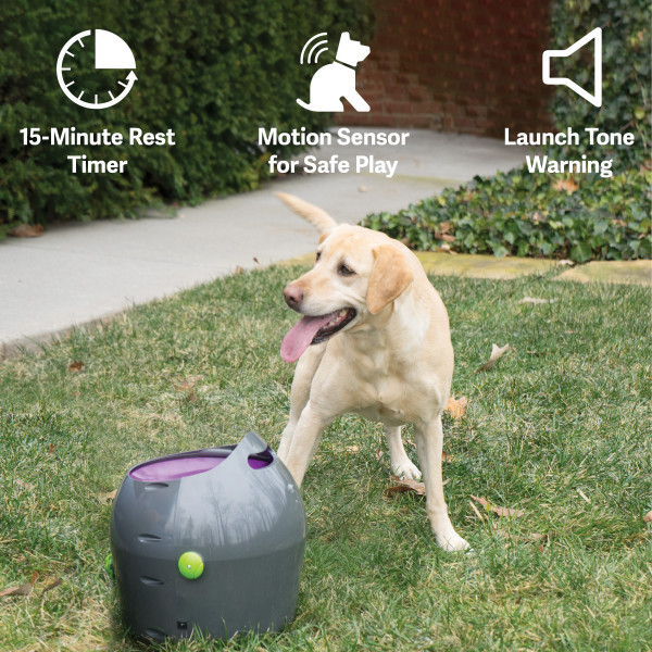 PetSafe® Automatic Ball Launcher