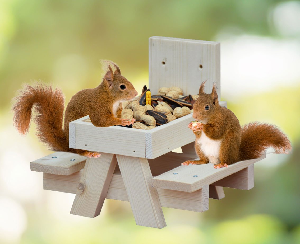 Eekhoorn picknicktafel