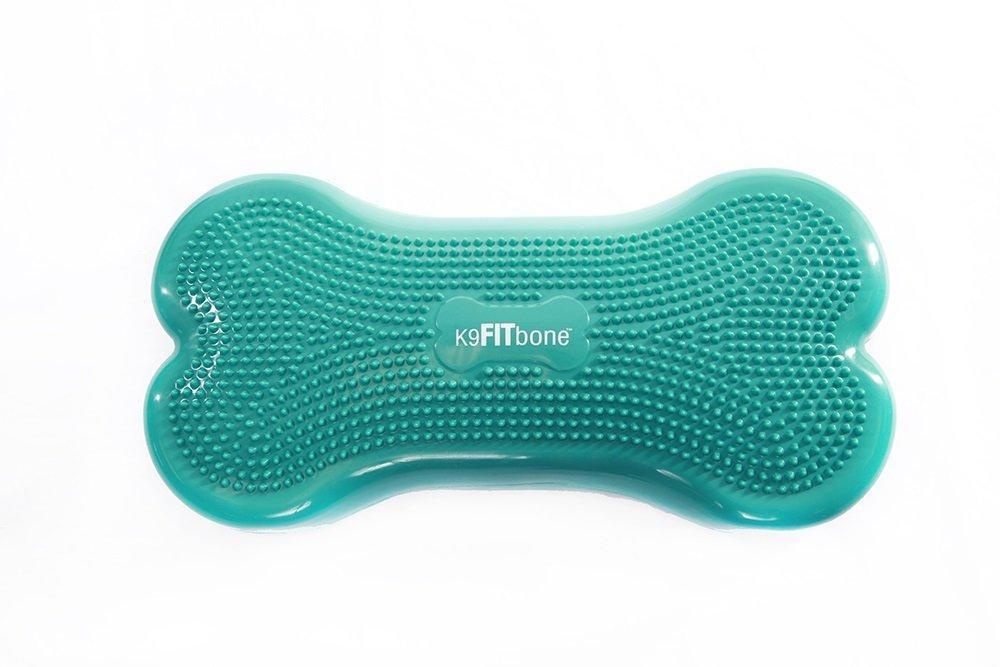 K9FITbone -58 x 29 x 10 cm, Aqua