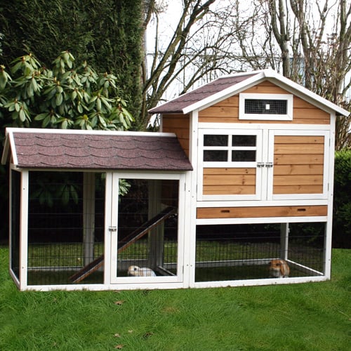 Konijnenhok Queens Castle met ren links