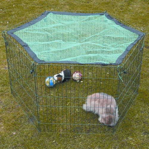 Konijnenren Skippy met afdeknet