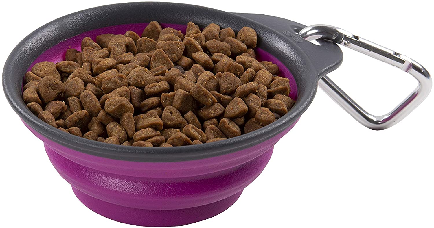 Dexas Opvouwbare Reisbeker Fuchsia