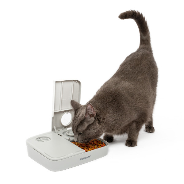 PetSafe® Automatic 2 Meal Pet Feeder
