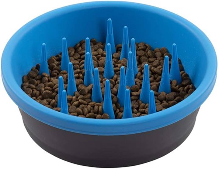 Slow Feeder , Pro blauw