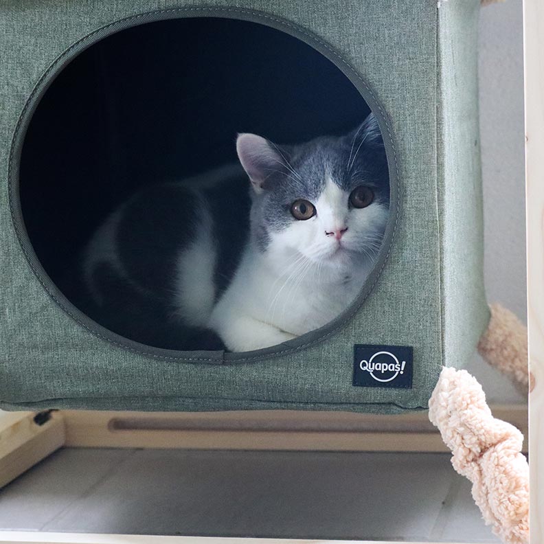 Quapas! Kattenkubus met Hangmat Groen